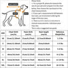 A size chart for a dog dress showing measurements for various sizes XS to XXL including chest, neck, and back length.