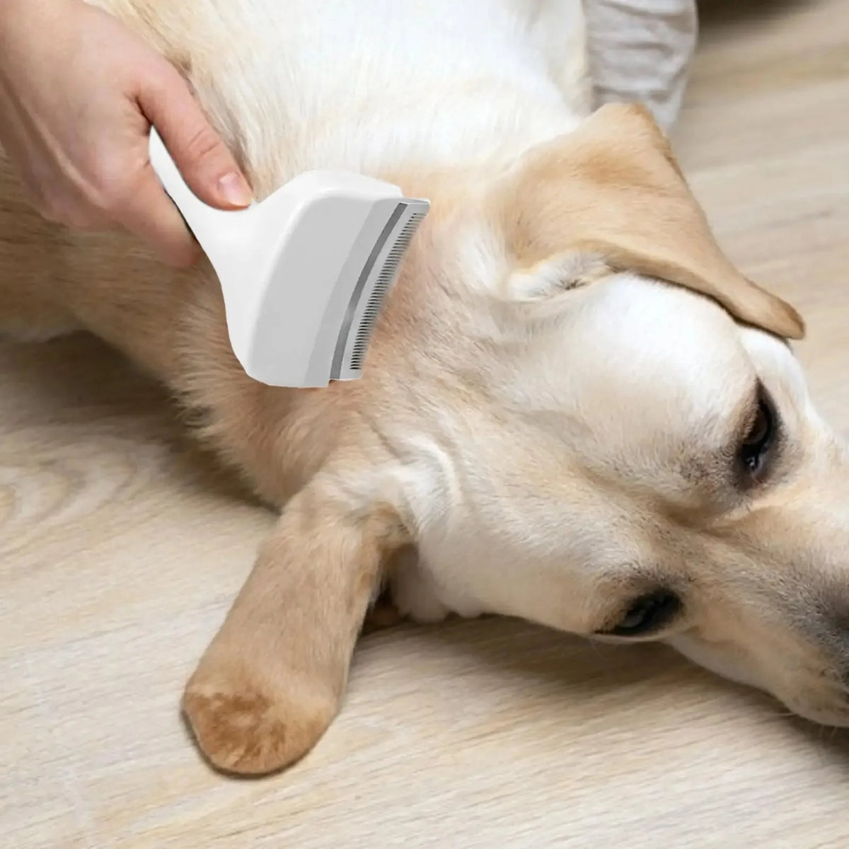 A hand is using a white pet slicker brush on the back of a dog's neck to remove undercoat.