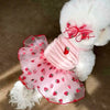A fluffy white dog dressed in a pink lace bow dress with a strawberry pattern and sheer tulle skirt.