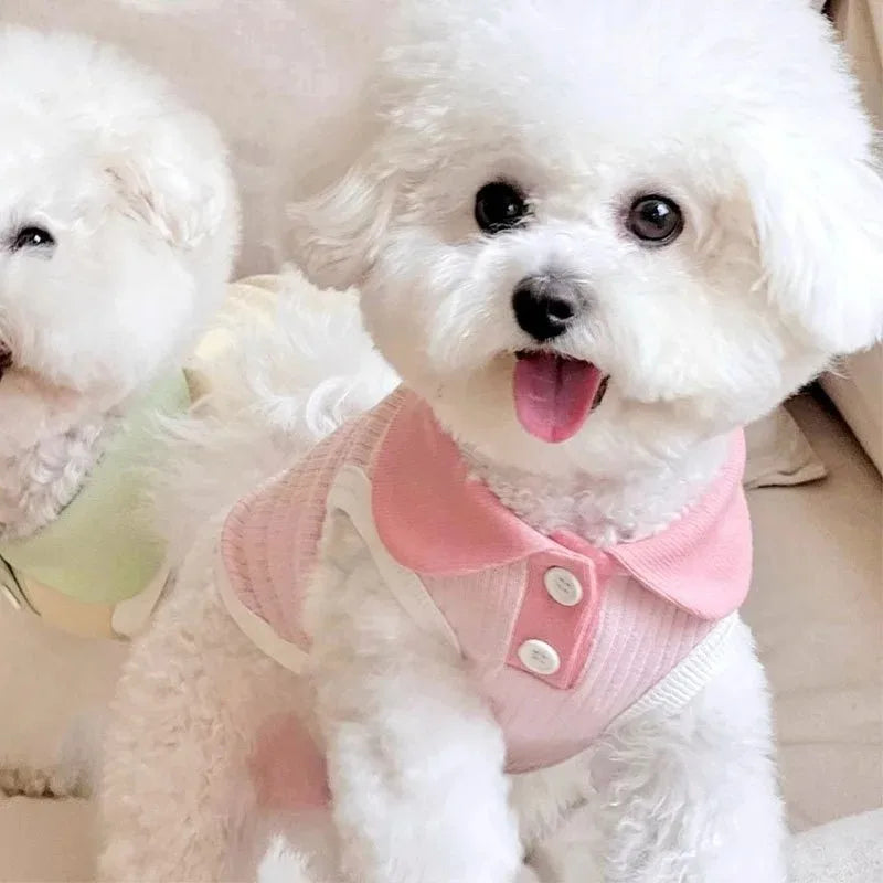 A fluffy white dog wearing a pink breathable cotton shirt.