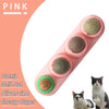 Pink catnip balls with silvervine energy sugar for dental health and play