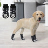 A light-colored Labrador dog wearing black anti-slip socks with paw print designs.