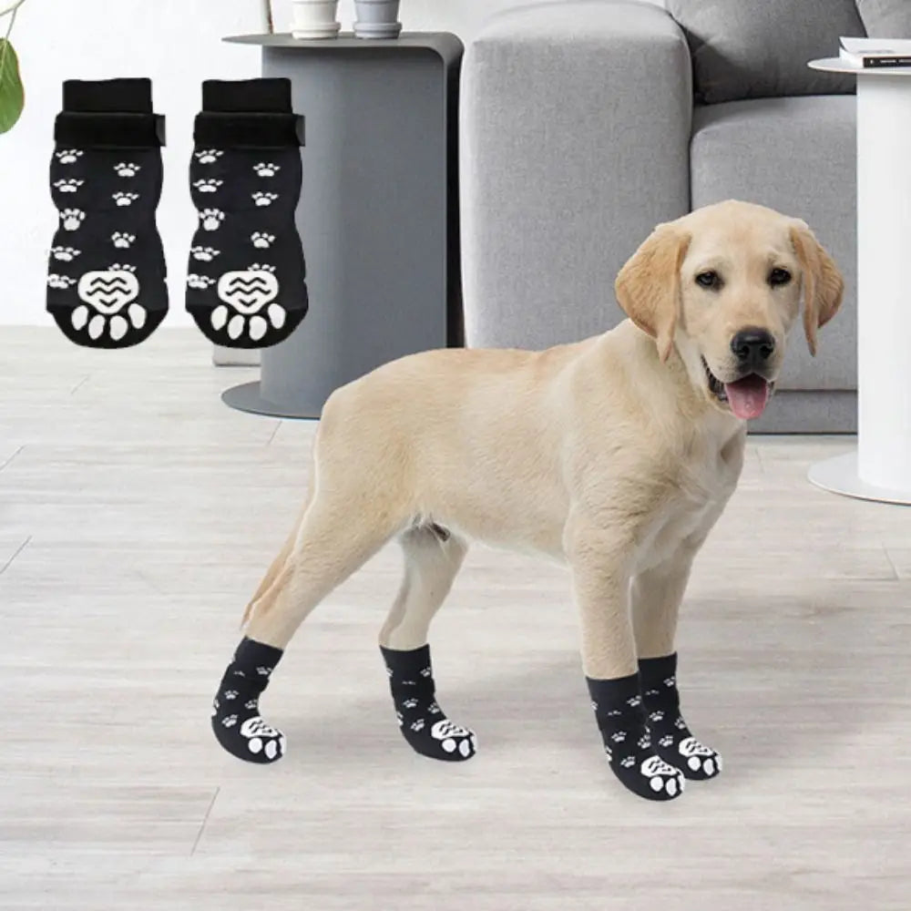 A light-colored Labrador dog wearing black anti-slip socks with paw print designs.