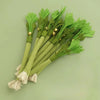 A bunch of green catnip molar sticks with gold accents arranged on a light green background.