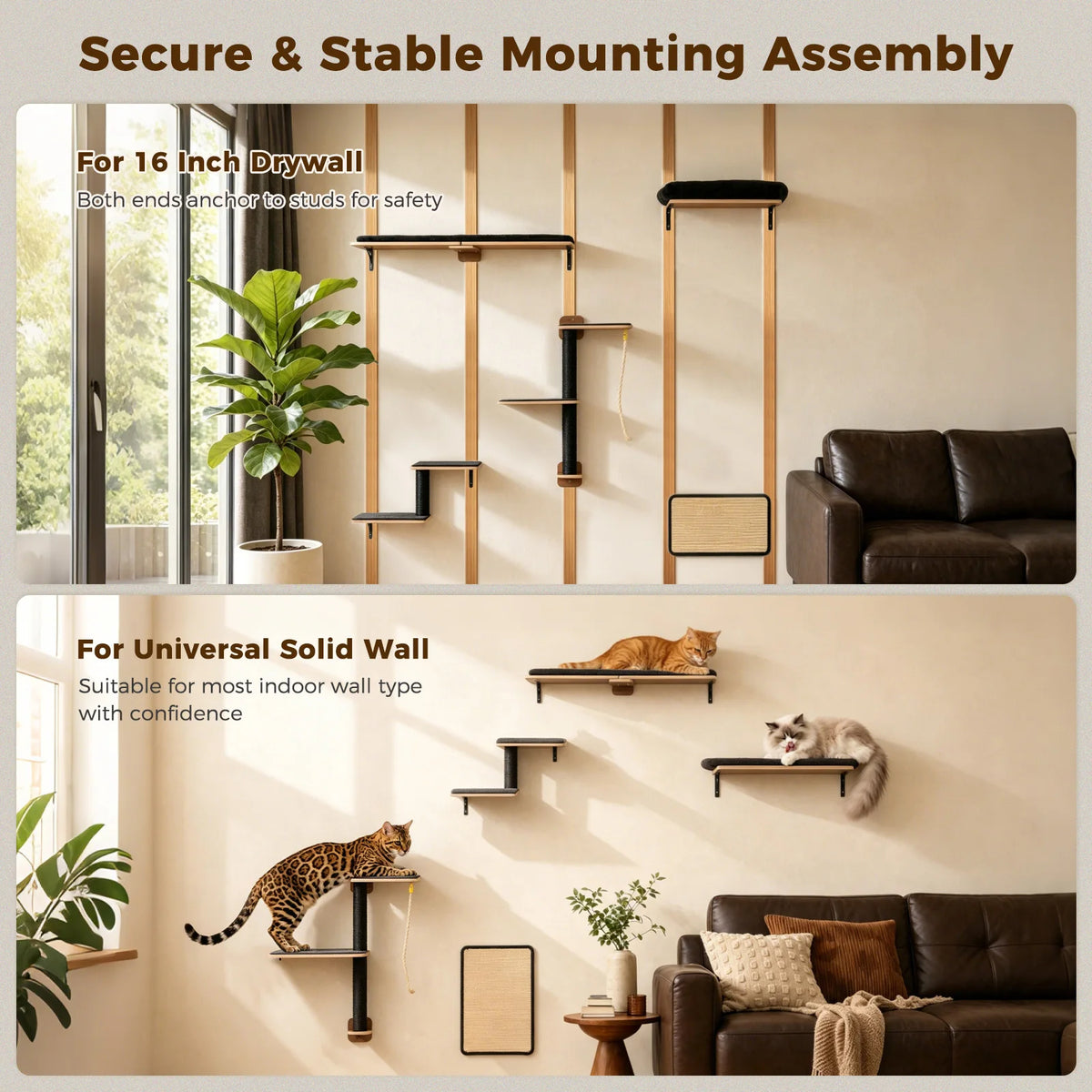 Wall-mounted cat climbing set featuring modular wooden shelves and supports for indoor use
