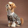 A small, light brown dog wearing leopard print pajamas, looking up.