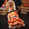 A small dog wearing an orange pumpkin lace dress with black trim, posed against a dark background.