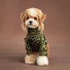 A fluffy, light brown dog wearing olive green leopard print pajamas.