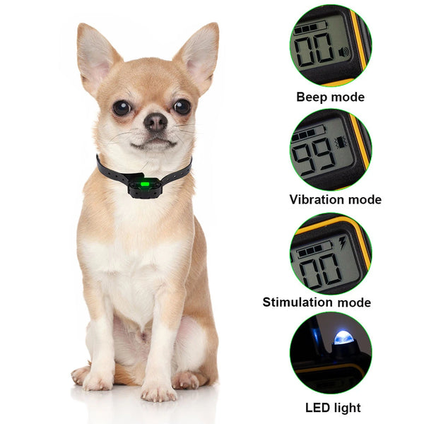 A small fawn-colored dog wearing a black remote training collar with various modes shown on the side.