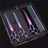 A professional stainless steel pet grooming scissors set with a comb displayed inside a black zippered case.