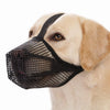 A light-colored dog wearing a black mesh muzzle with adjustable straps.