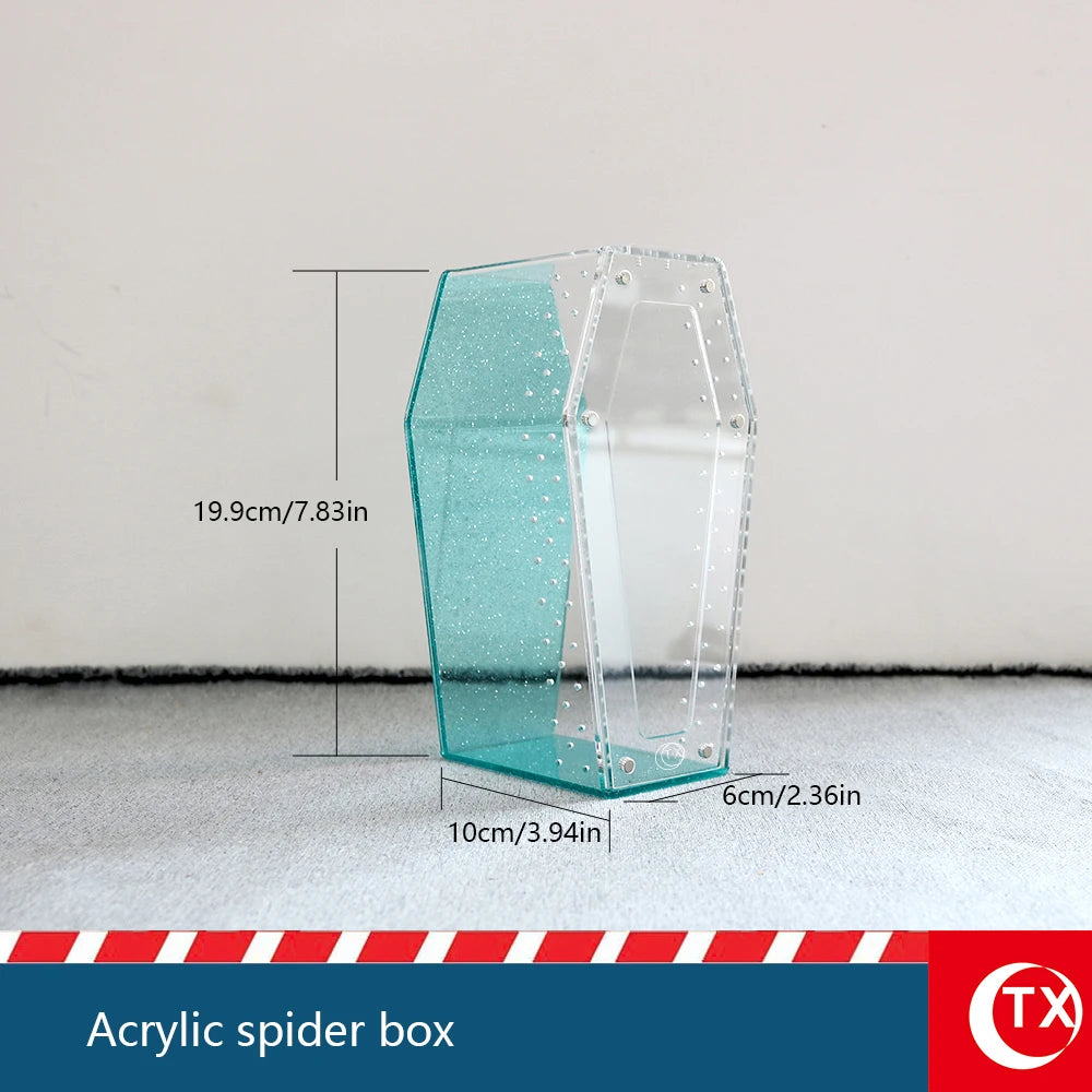 Clear acrylic spider box showing dimensions and structure on a gray surface.