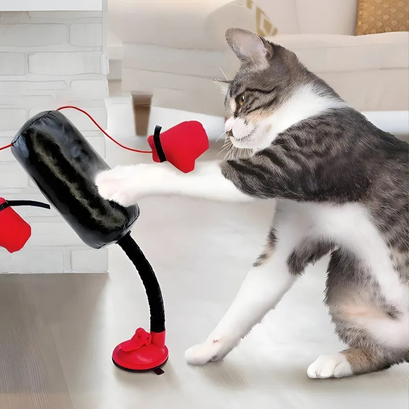 Eine tabbyartige Katze spielt mit einem schwarz-roten interaktiven Box-Spielzeug zur Stressbewältigung.