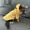 A small terrier wearing a yellow raincoat with pink ice cream patterns sitting on a gray couch.