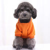A small, fluffy grey dog wearing an orange hooded sweatshirt.