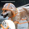 Un chien portant un imperméable transparent avec bordure orange, démontrant la fonction de trou de traction dissimulé.