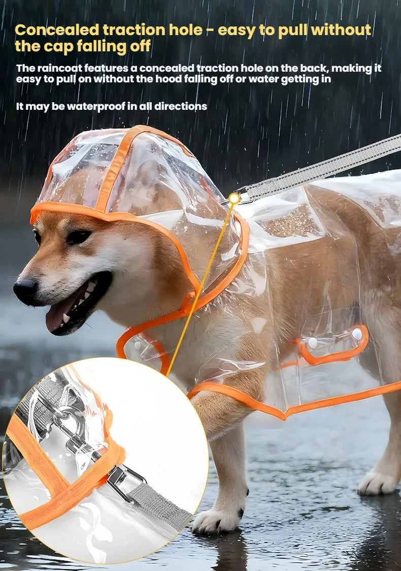 Un chien portant un imperméable transparent avec bordure orange, démontrant la fonction de trou de traction dissimulé.