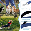 A durable nylon dog training leash with a swivel hook and a comfortable handle shown alongside dogs.