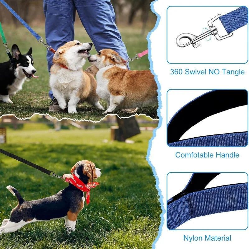 A durable nylon dog training leash with a swivel hook and a comfortable handle shown alongside dogs.