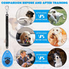 Comparaison des chiens avant et après l'entraînement avec des clickers pour animaux et des sangles ajustables.