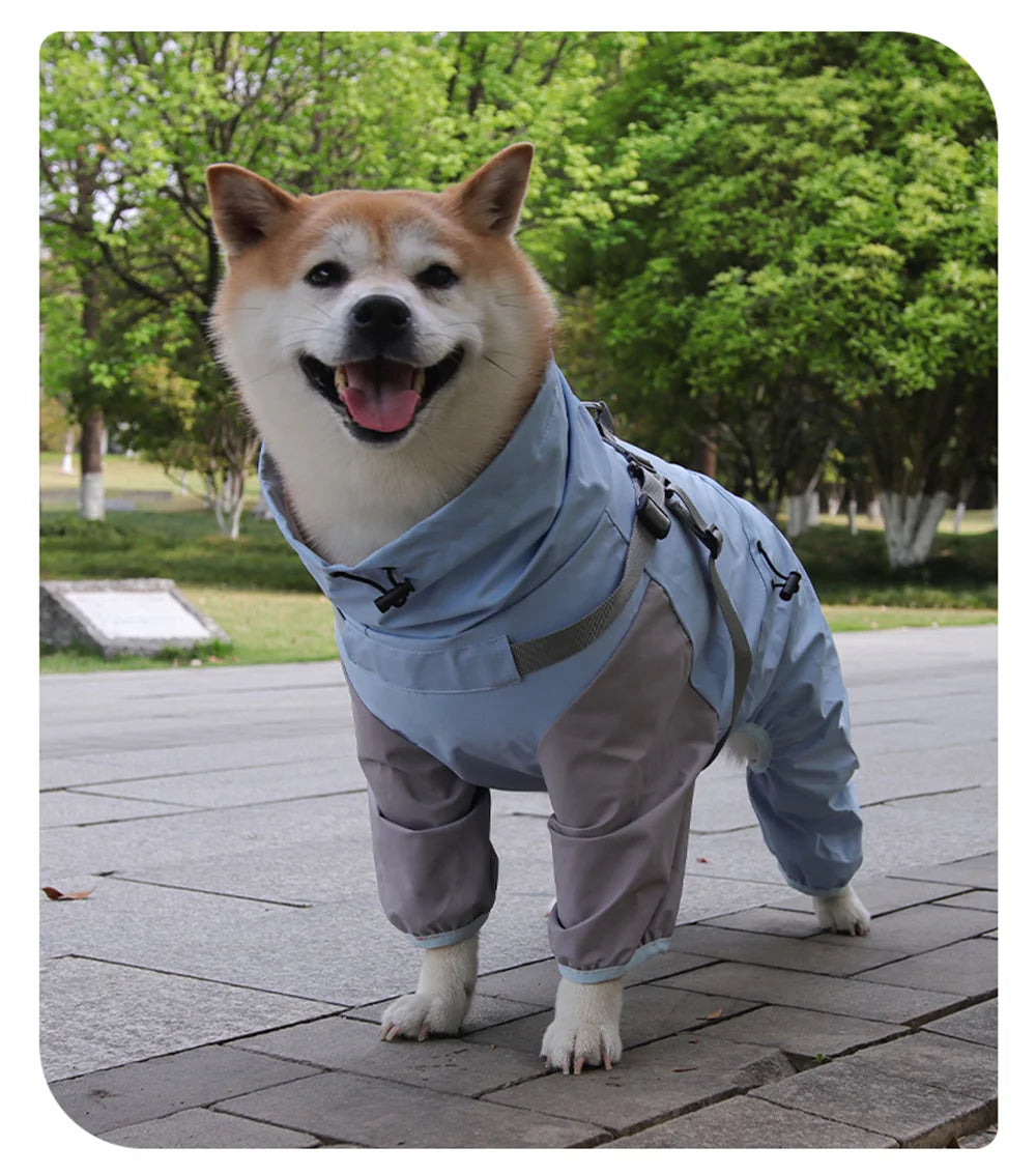 Un Shiba Inu feliz vistiendo un impermeable para mascotas azul de doble capa con arnés al aire libre.