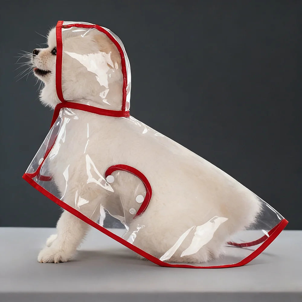 Ein helles Hund trägt einen klaren, wasserdichten Plastikregenmantel mit rotem Rand.