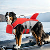 Un chien en noir et blanc se tient sur un bateau, portant un gilet de sauvetage rouge et gris durable pour la sécurité et le 