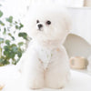 A fluffy white dog wearing a summer dress with a bow and butterfly skirt.