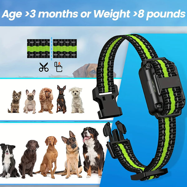 A black dog training collar with a green and black striped strap is shown alongside various dogs.