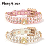 Collier pour chien et chat en perles artificielles roses avec accents dorés