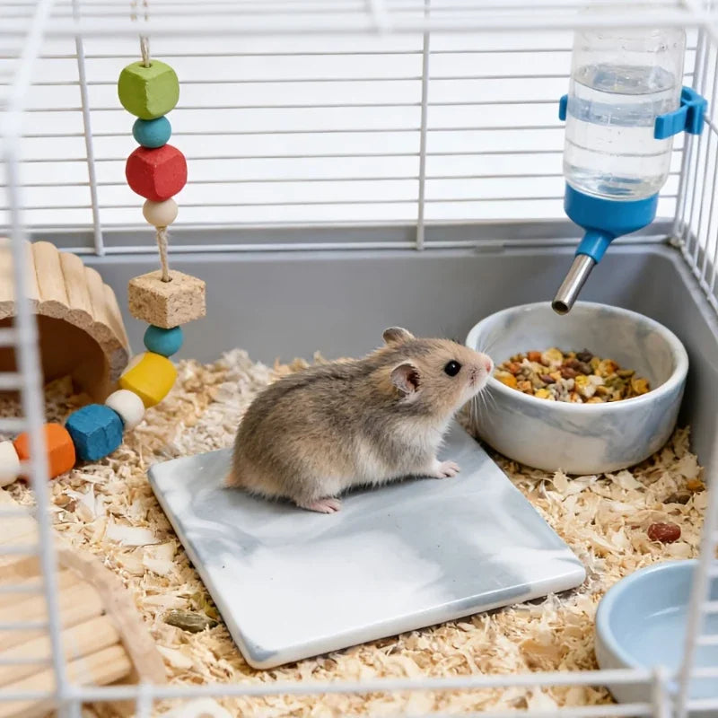 Ein Hamster ruht auf einer quadratischen Kühlmatte in einem Drahtkäfig mit verschiedenen Spielzeugen und Wasserflaschen.