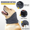 Goldener Hund mit grauem beruhigendem Hoodie und Ohrenschutz, Betonung auf Stoff und Velcro-Details.