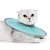 Un chat gris duveteux portant un collier de récupération vétérinaire bleu clair.