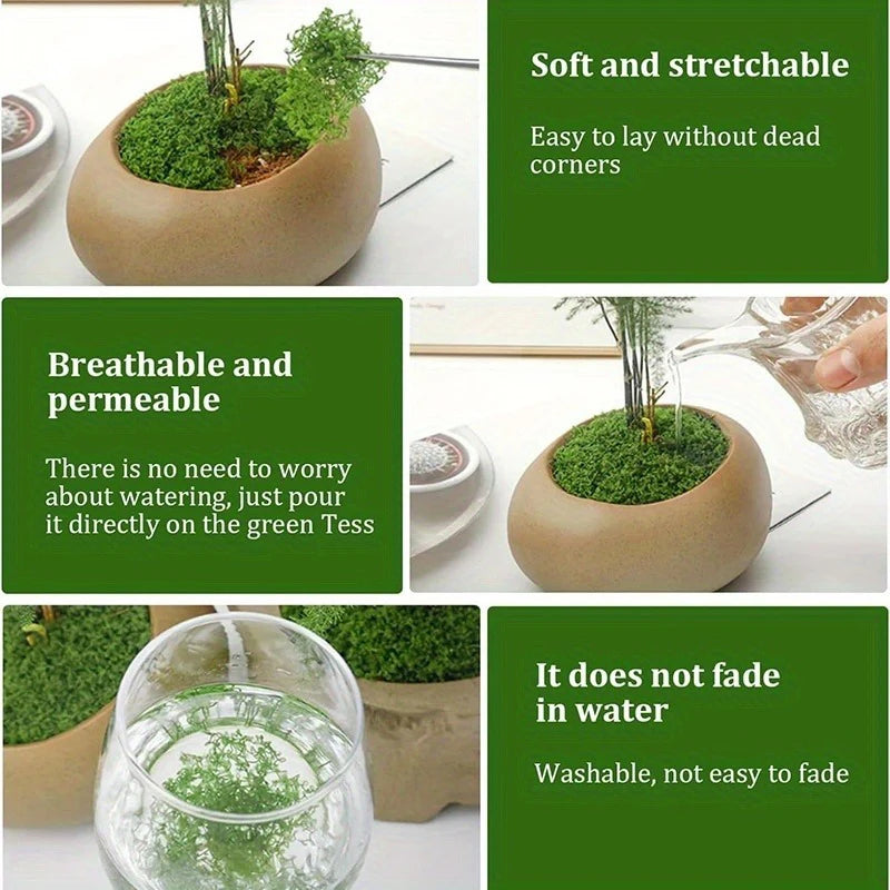 A set of soft and stretchable preserved moss in a natural tone shown in various contexts for crafts and decoration.
