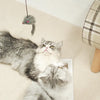 A fluffy gray and white kitten is playing with a funny hanging cat toy featuring a retractable stick.
