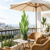 A potted artificial snake plant with large green leaves sits on a table on a balcony overlooking the sea.