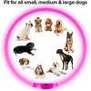 A variety of dog breeds are shown wearing a pink LED collar, demonstrating fit for small, medium, and large dogs.