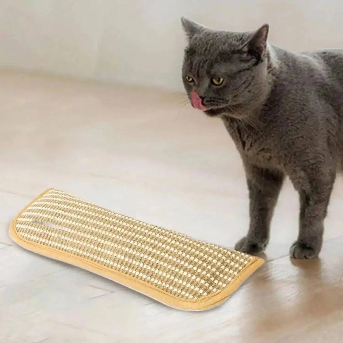 A gray cat is looking at a beige rectangular interactive scratcher toy on a wooden floor.
