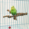 A small yellow and green cockatiel perched on a natural wood grape branch inside a wire cage.