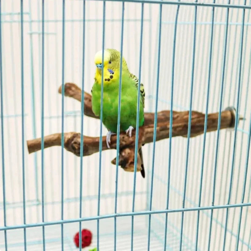 A small yellow and green cockatiel perched on a natural wood grape branch inside a wire cage.