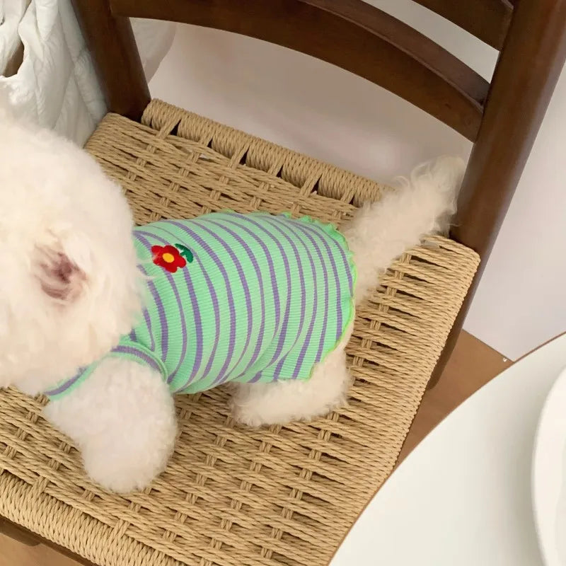 A fluffy white dog is wearing a green and purple striped vest with a red floral print on a woven tray.