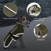 A dog wearing a olive green reflective winter coat with an elastic buckle and windproof features visible.