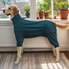 A golden retriever wearing a teal cozy four-legged dog pajama with a high collar standing by a window.