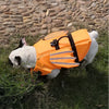 A white dog wearing an orange life jacket with gray stripes and a black rescue handle in a grassy outdoor setting.