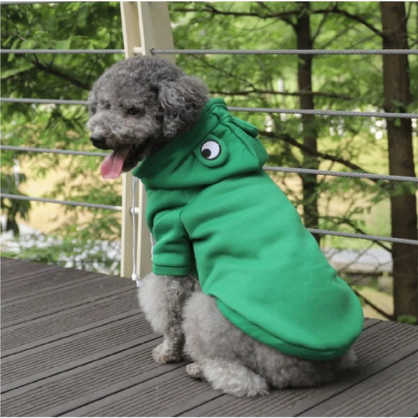 A gray dog wearing a bright green hoodie with a frog design sitting on a wooden deck.