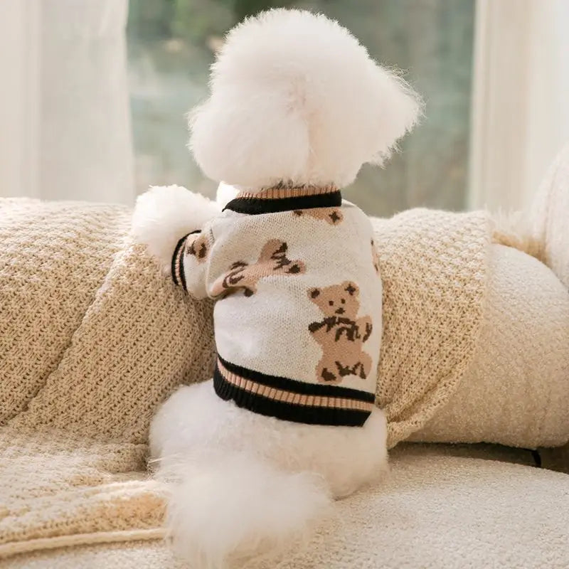 Flauschiger weißer Strickpullover für einen kleinen Hund mit Pomponkragen, auf einer cremefarbenen Decke.