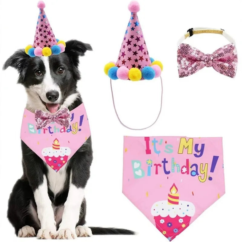 A black and white dog wearing a pink birthday crown and a pink birthday shirt.