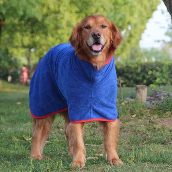 A golden retriever wearing a blue quick-dry microfiber dog robe outdoors.
