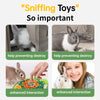 Image showing rabbits and a child interacting with a sniffing training mat for small animals.