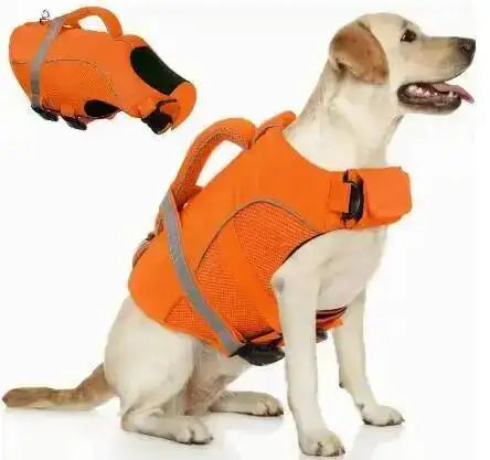 Orange adjustable dog life jacket for swimming safety shown on a light-colored dog.
